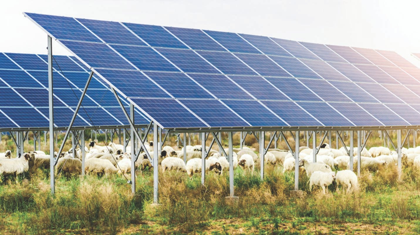 Professional Solar Services in Lucknow – Takshaya Power